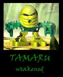 tohunga_tamaru_revised.jpg