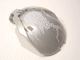 pearl_light_gray_bohrok_kohrak-kal_windscreen.gif