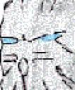 dwan_avatar.gif