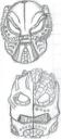 toa_inika_heads2.jpg
