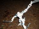 Toa-of-ice