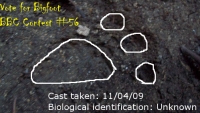 bigfoot_banner.jpg