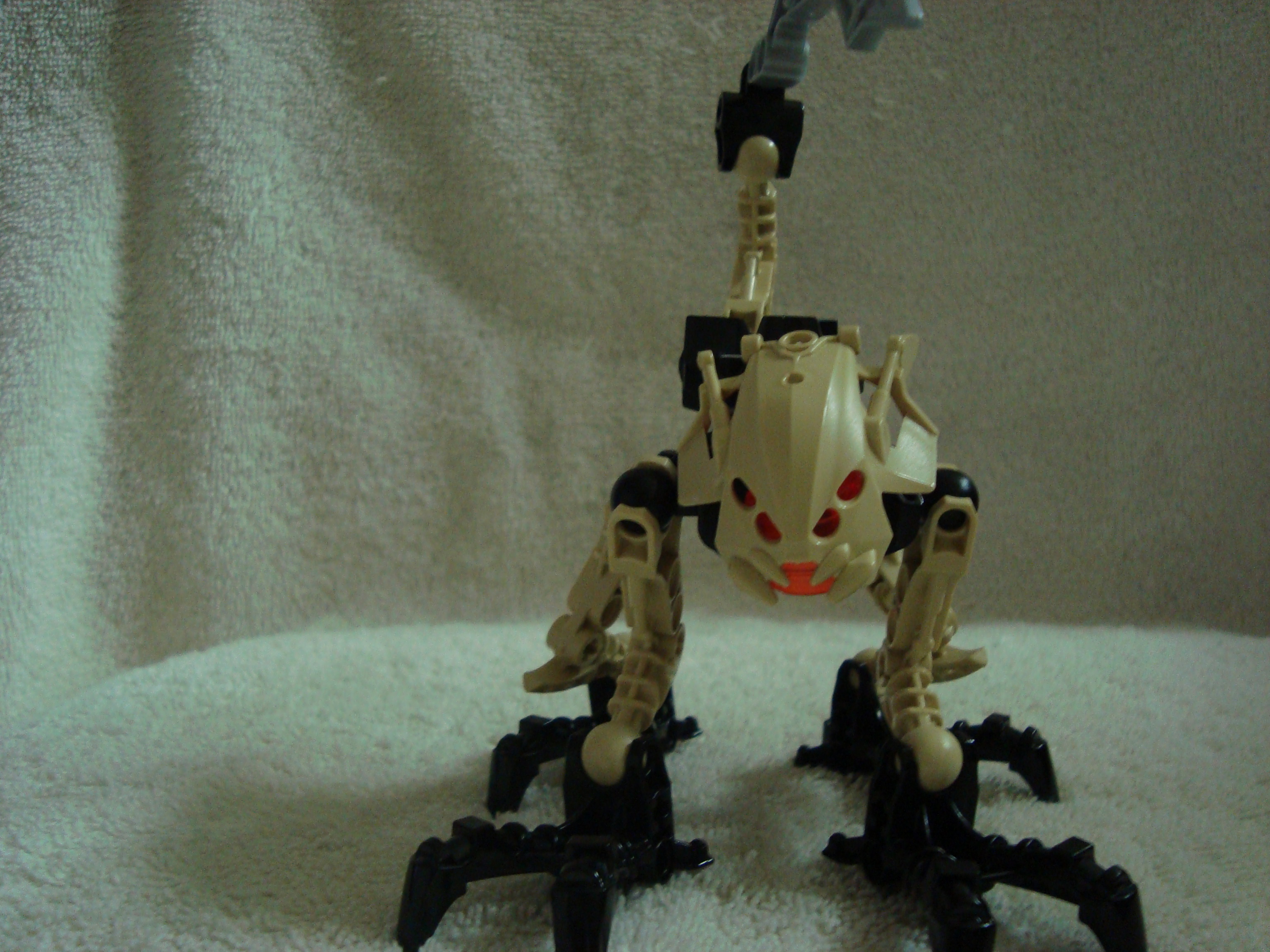 agori_zesk_003.jpg