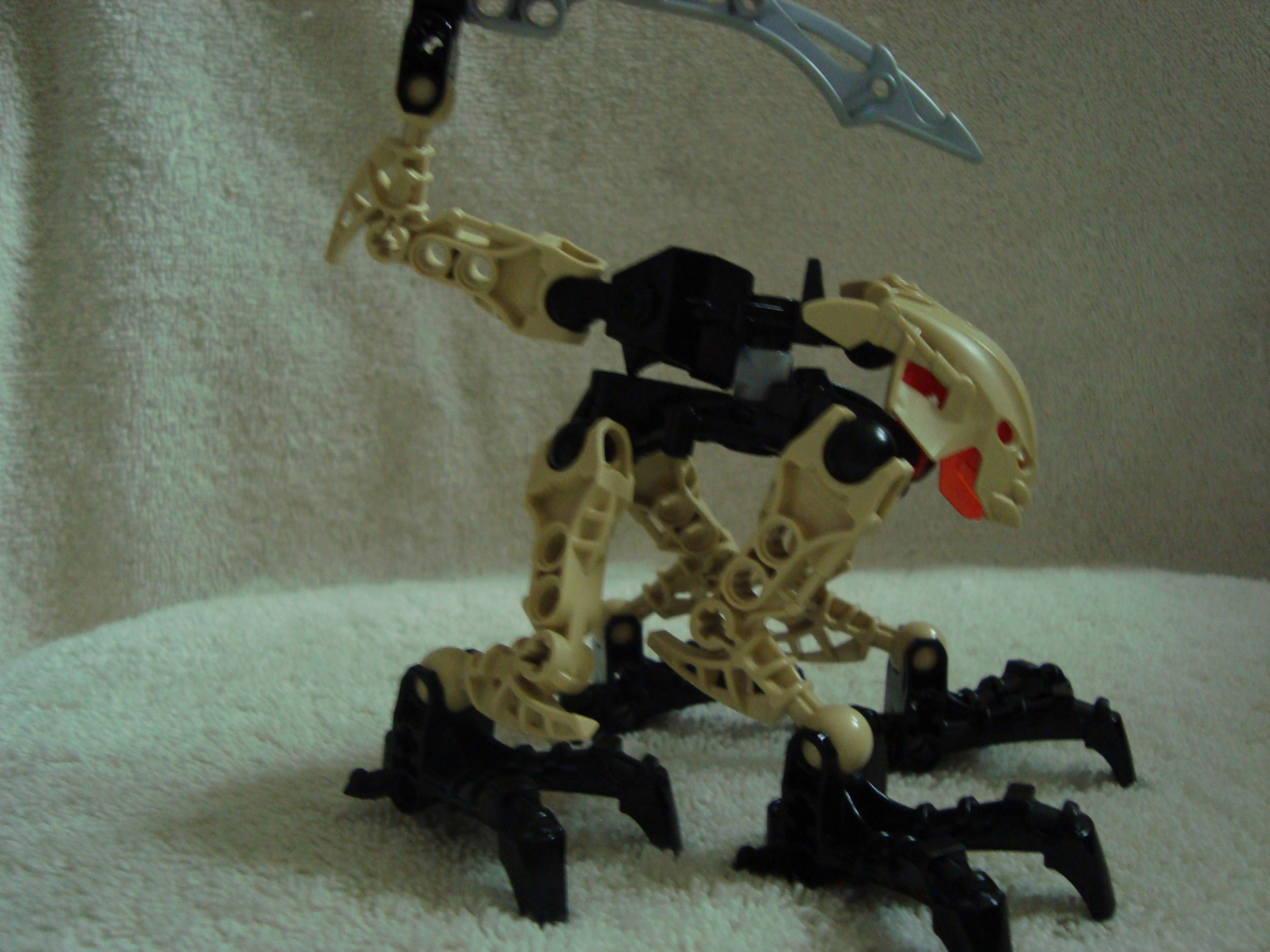 agori_zesk_004.jpg