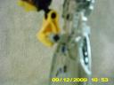 glatorian_toa_mata_nui_009.jpg
