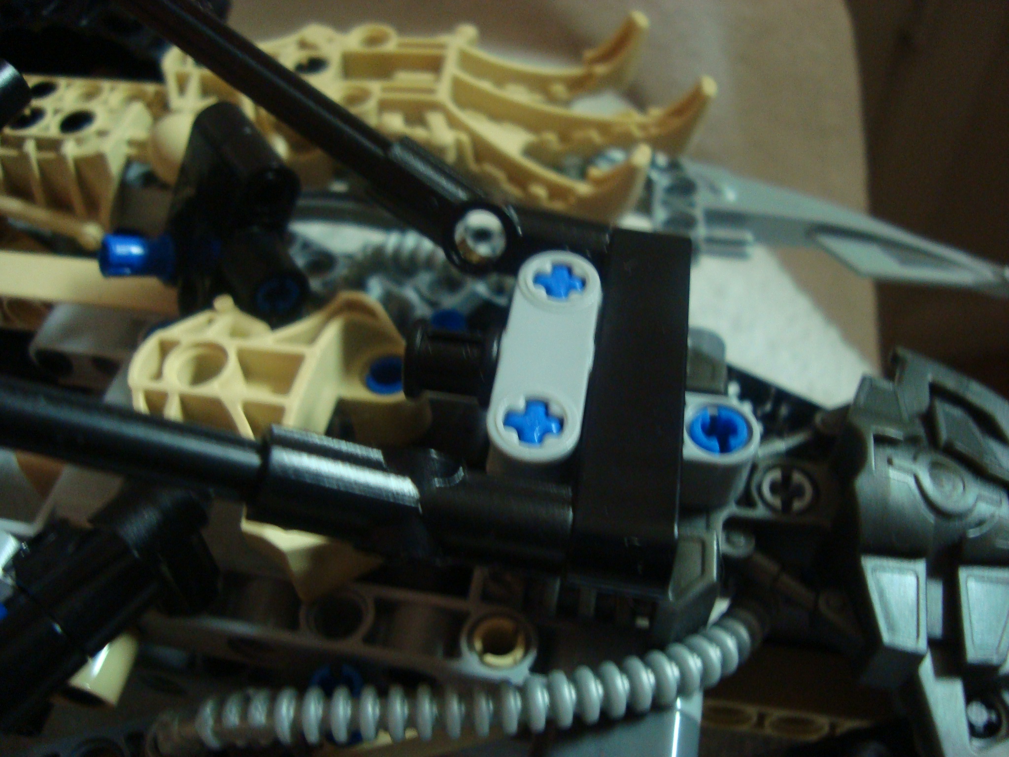 thornatus_001.jpg