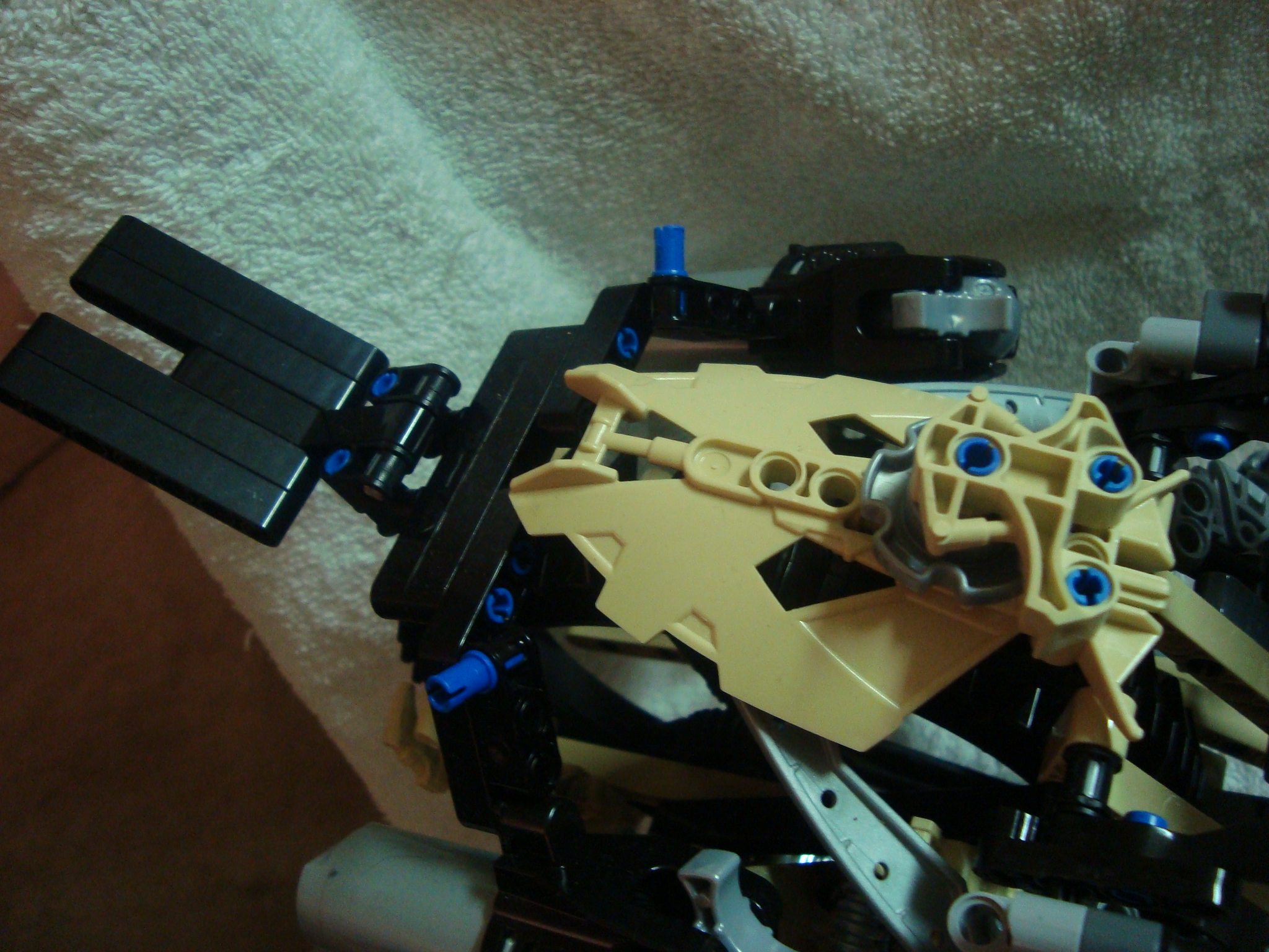thornatus_008.jpg