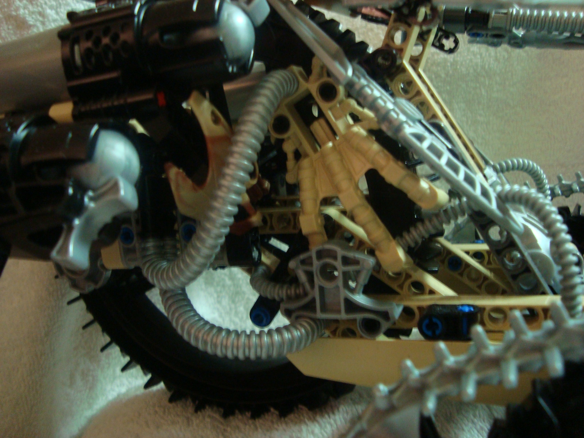 thornatus_010.jpg