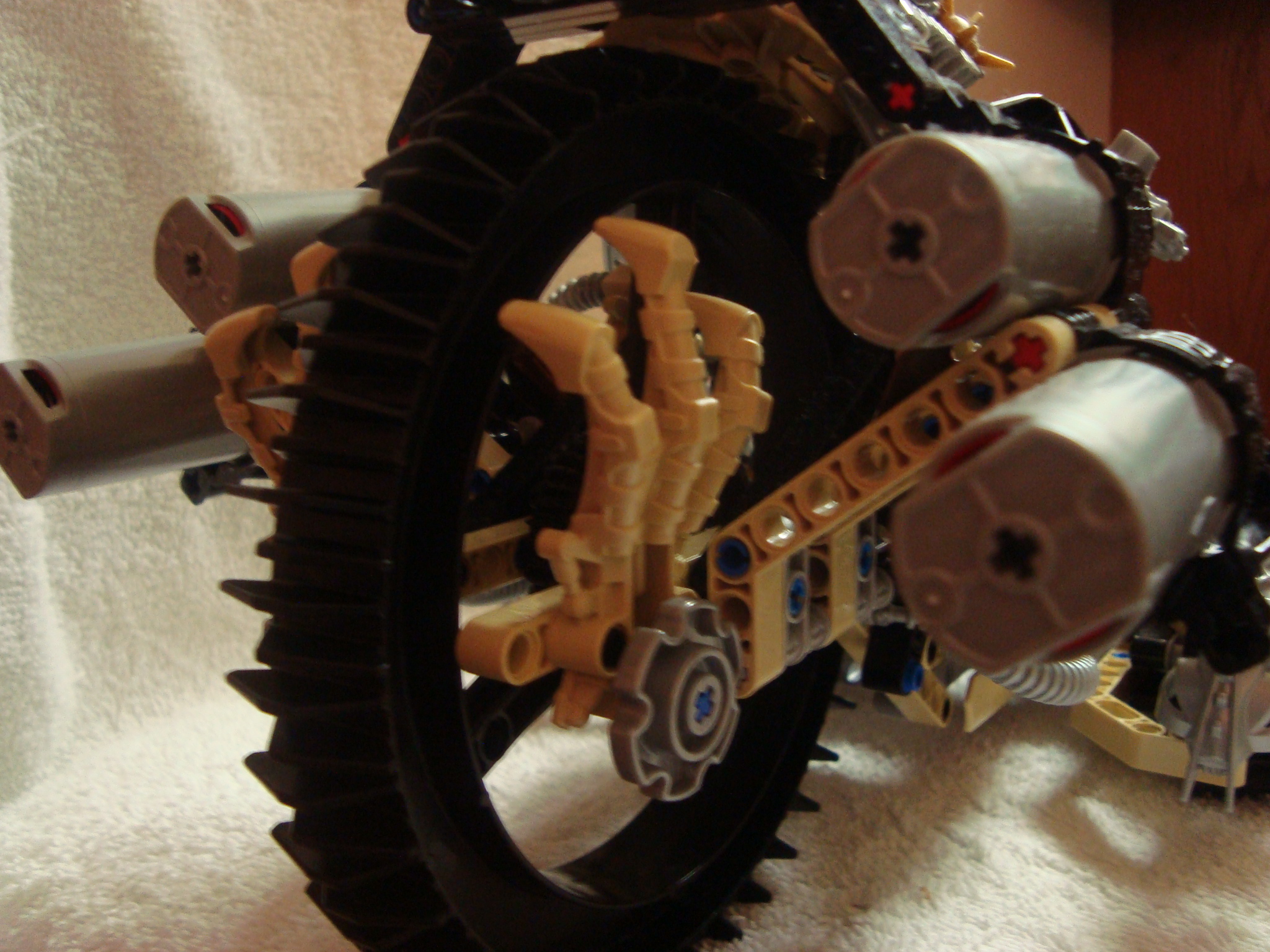 thornatus_011.jpg