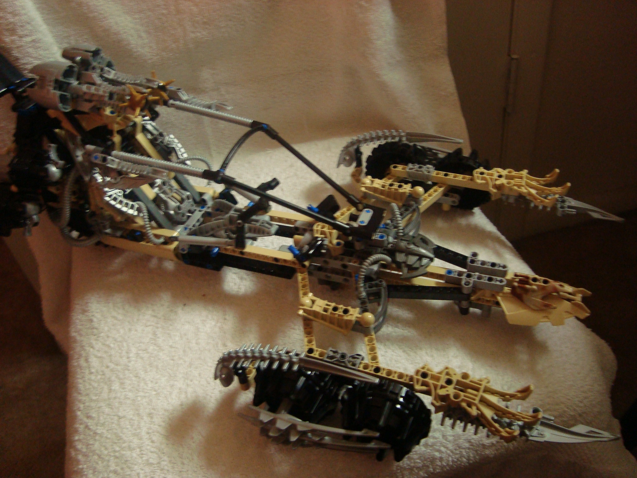 thornatus_012.jpg