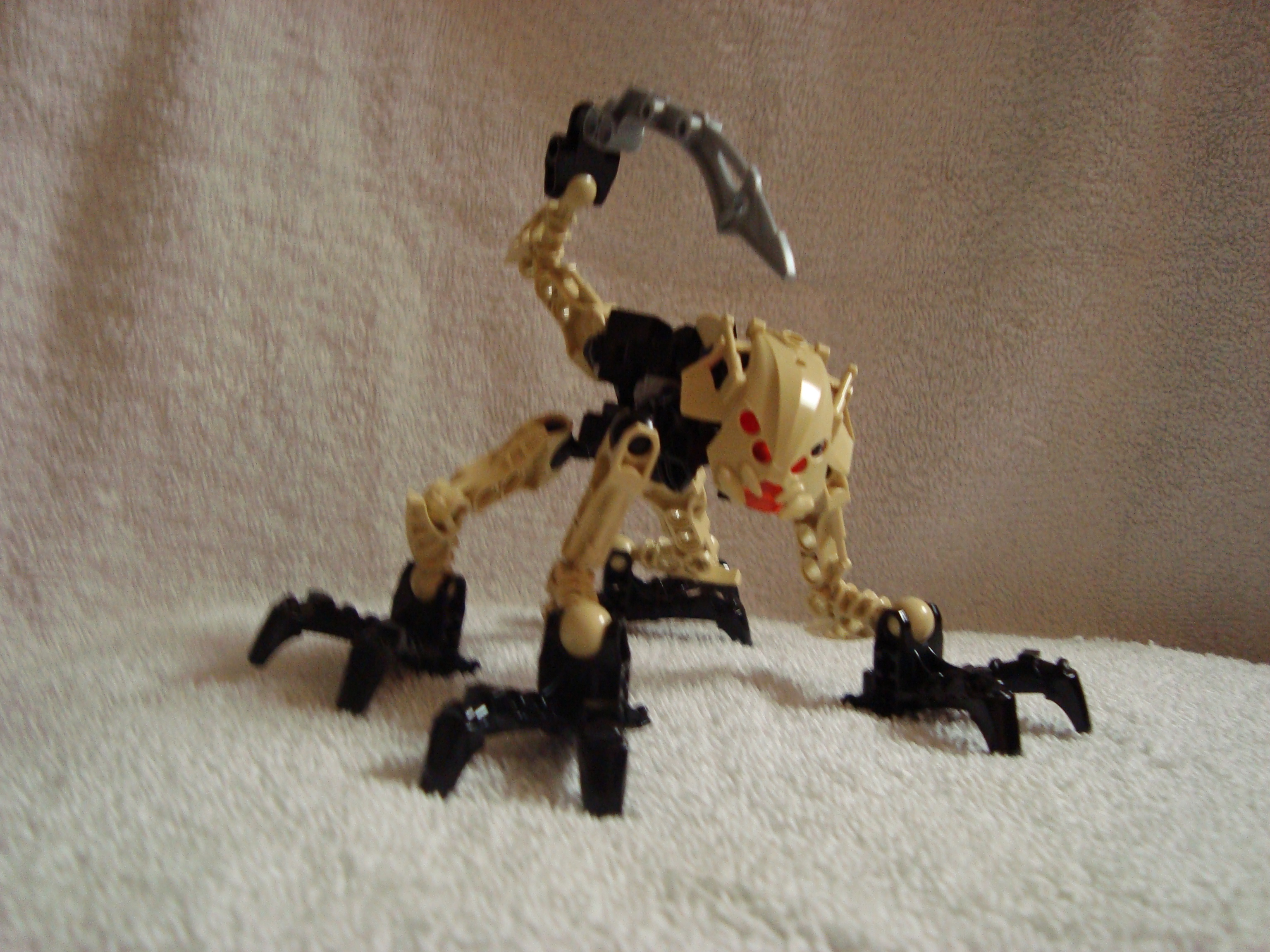 agori_zesk.jpg
