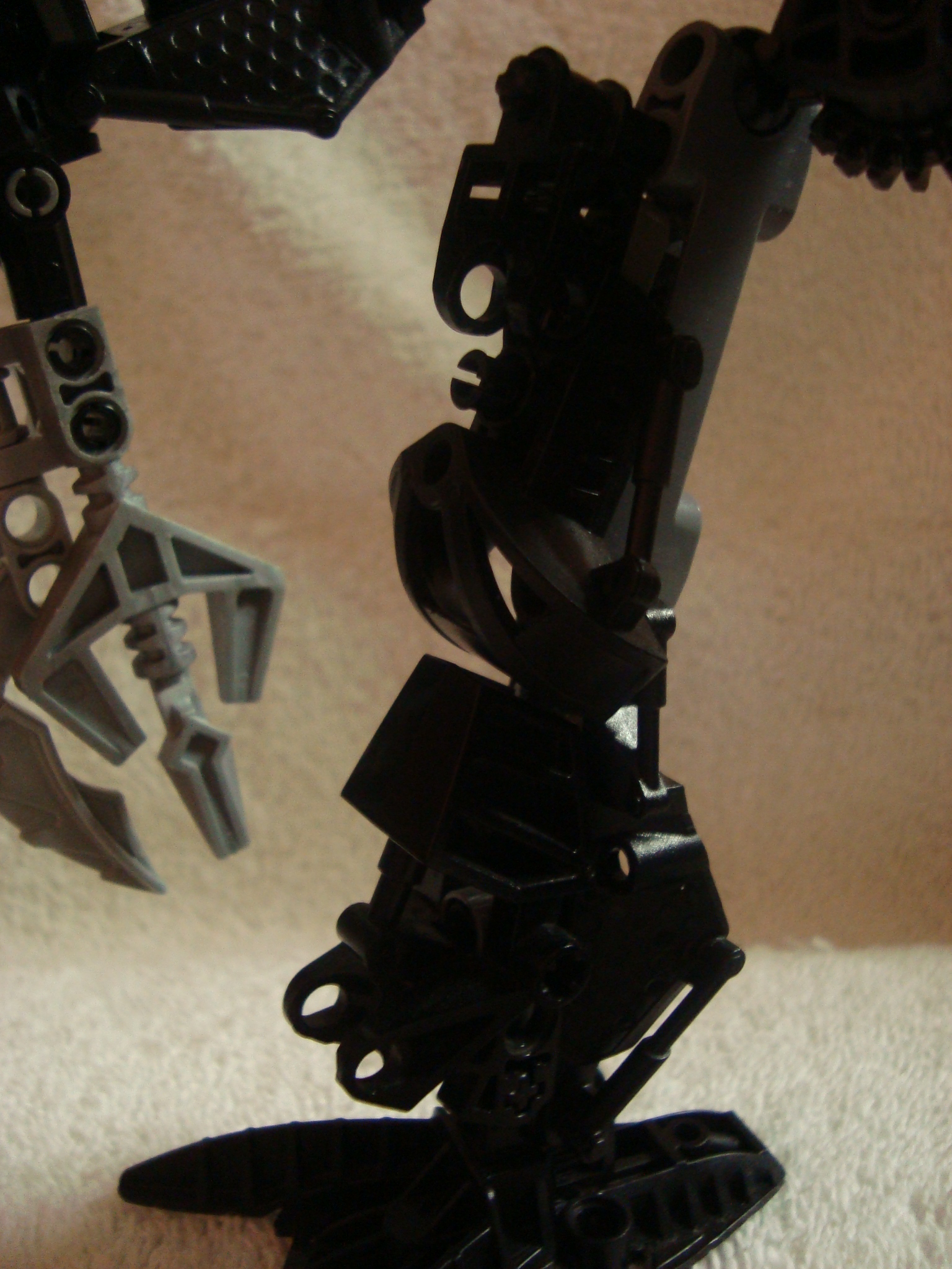 toa_nuparu_019.jpg