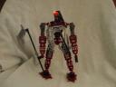 toa_sukra_back.jpg