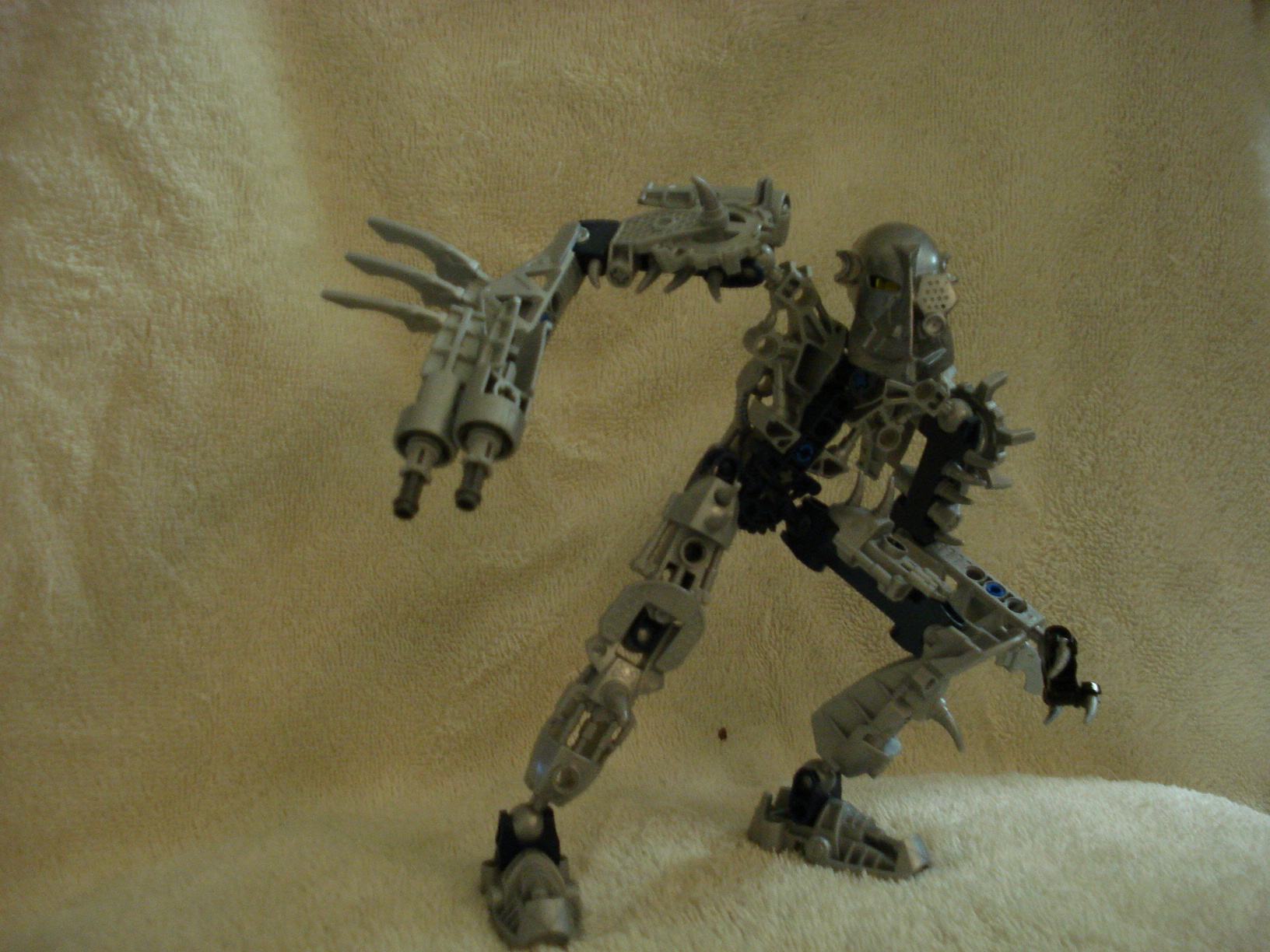 toa_hoku.jpg