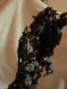 new_teridax_009.jpg