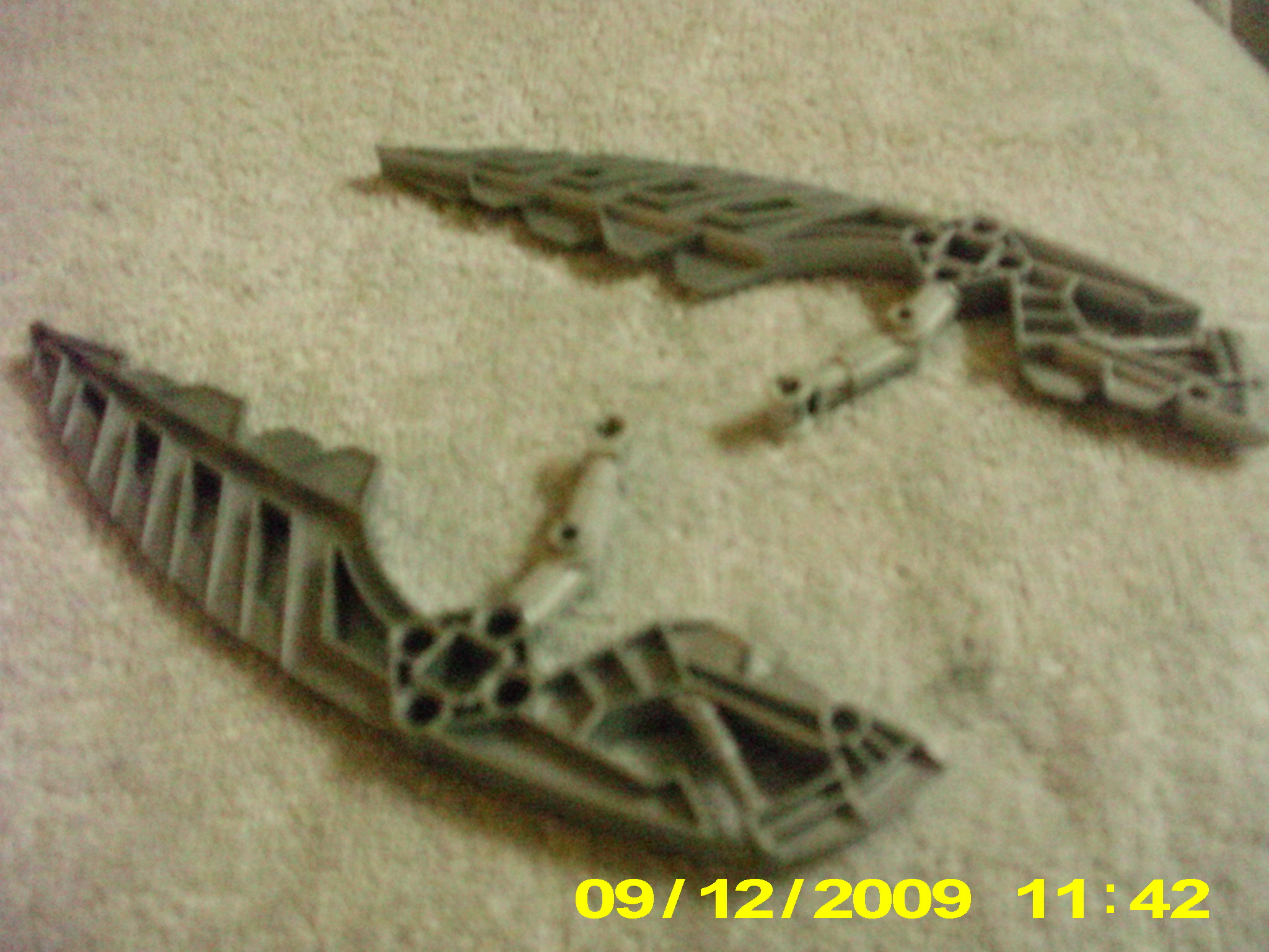 toa_hakuta_006.jpg