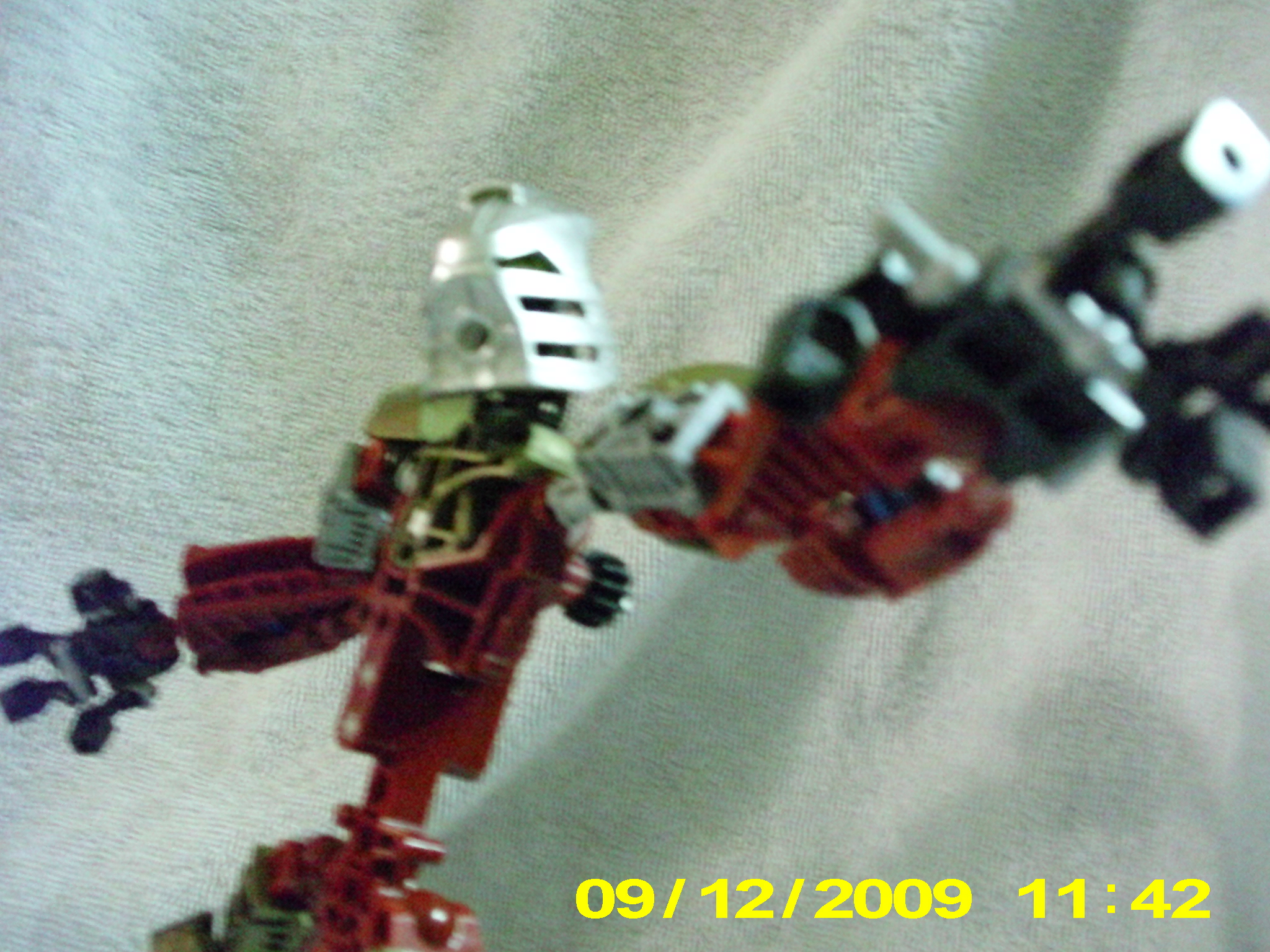 toa_hakuta_007.jpg