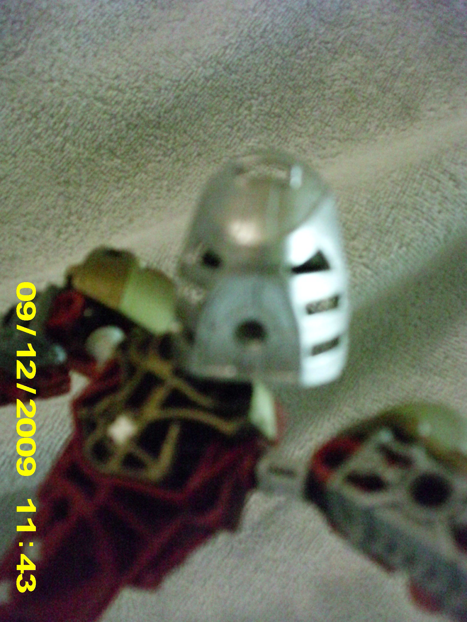 toa_hakuta_009.jpg