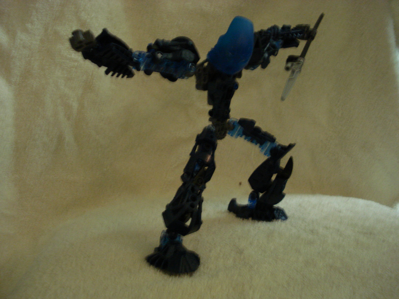 toa_kokamaru_001.jpg