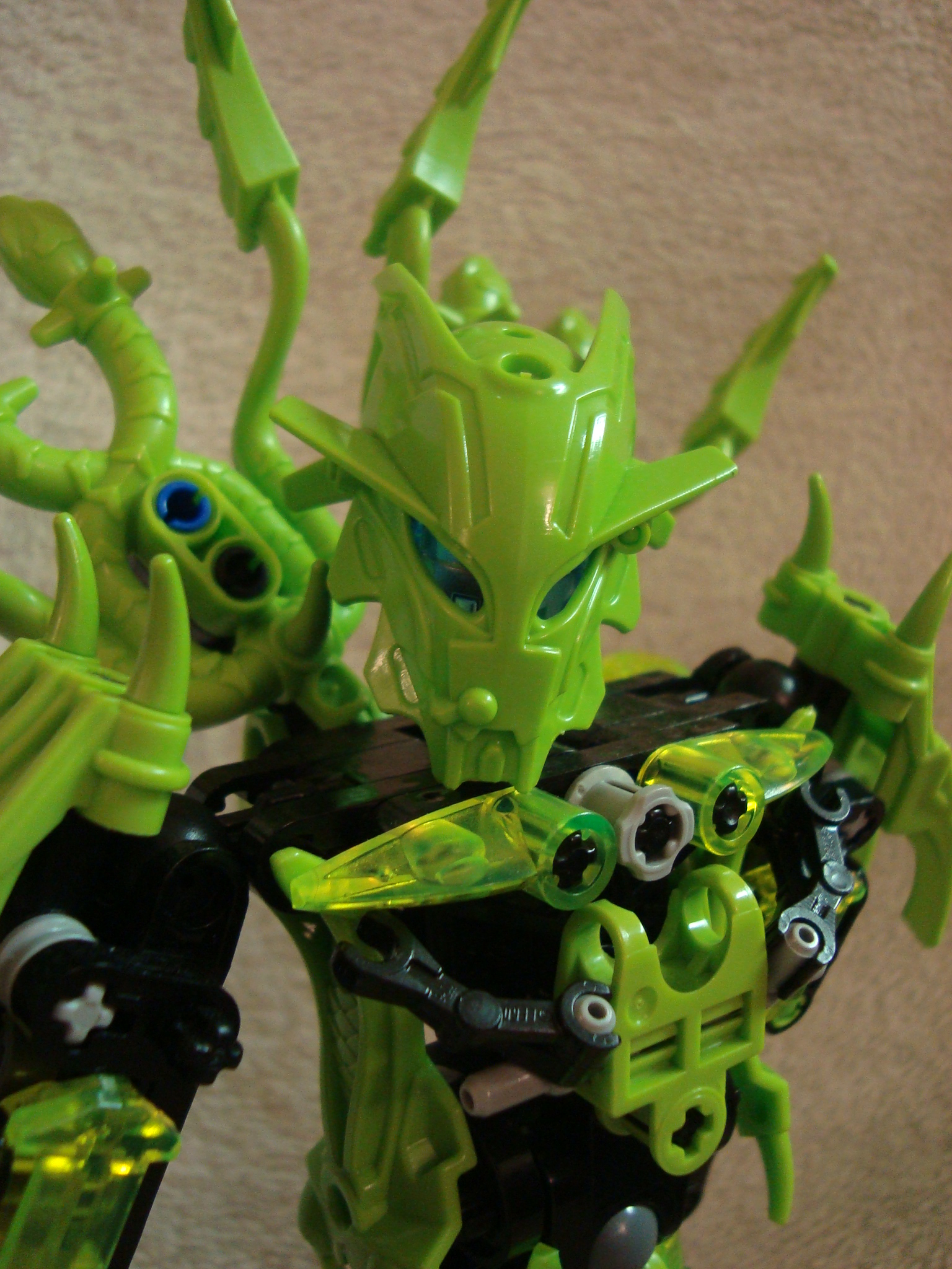 toa-pelora_001.jpg