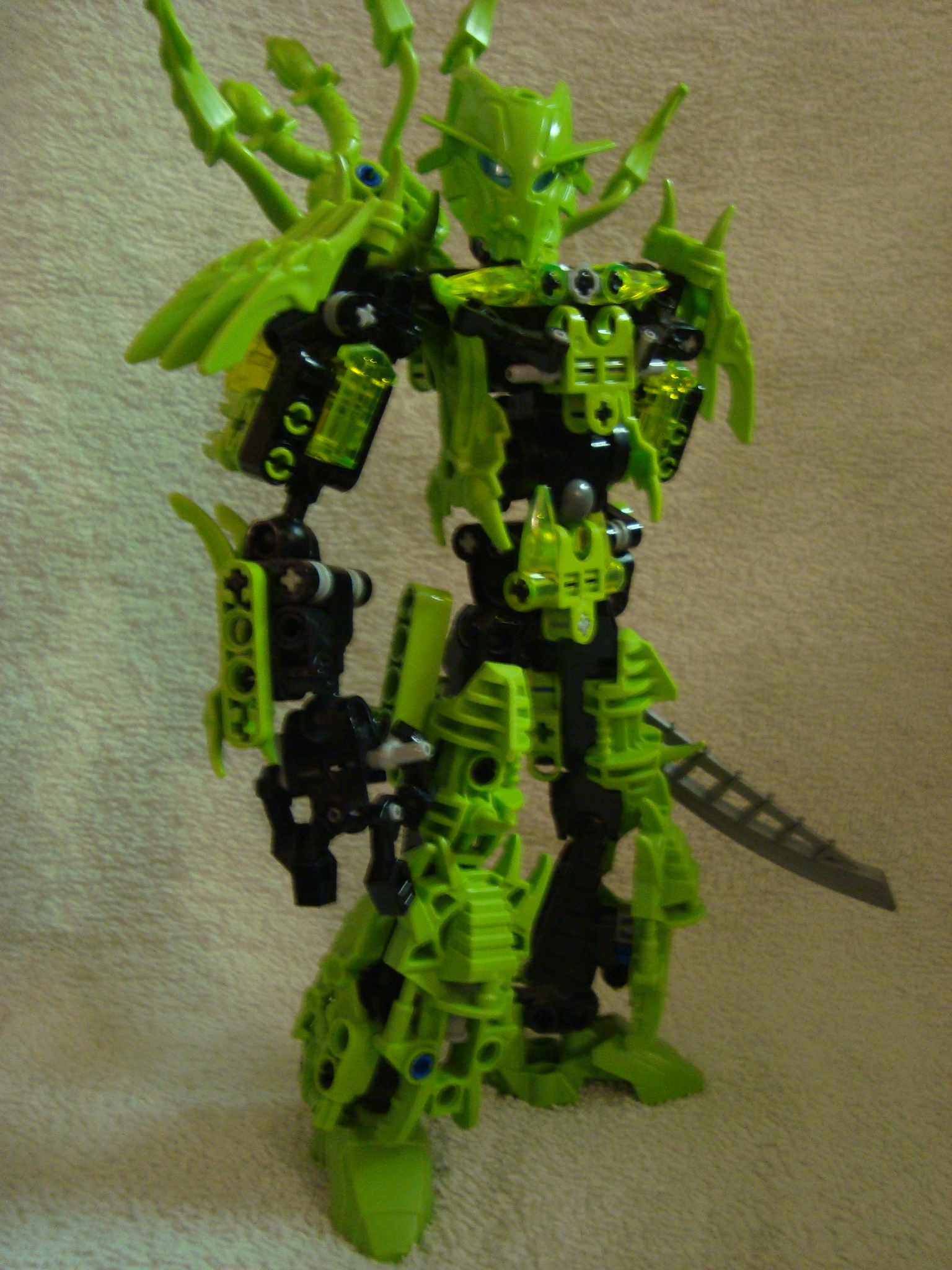 toa-pelora_002.jpg