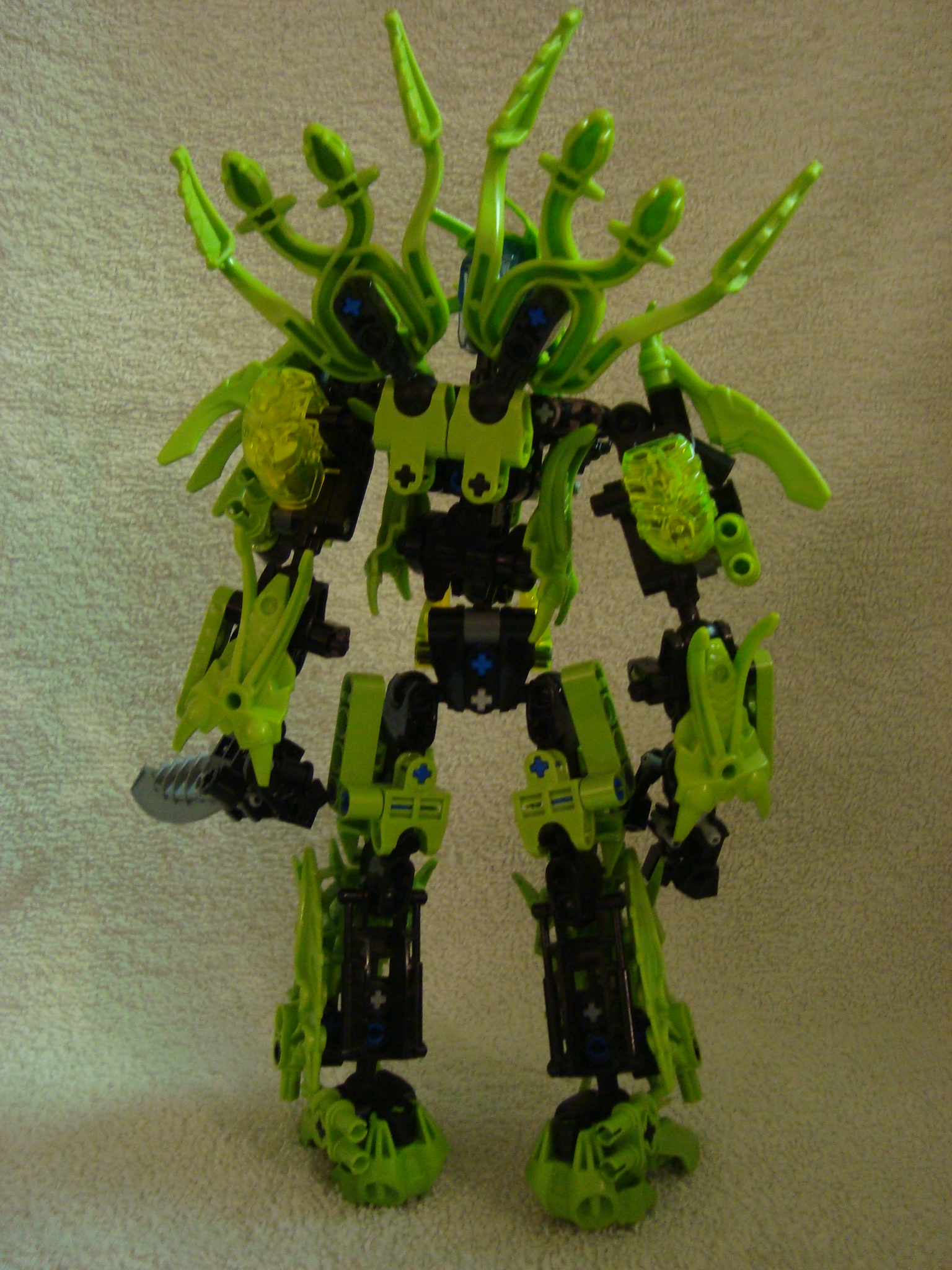 toa-pelora_004.jpg