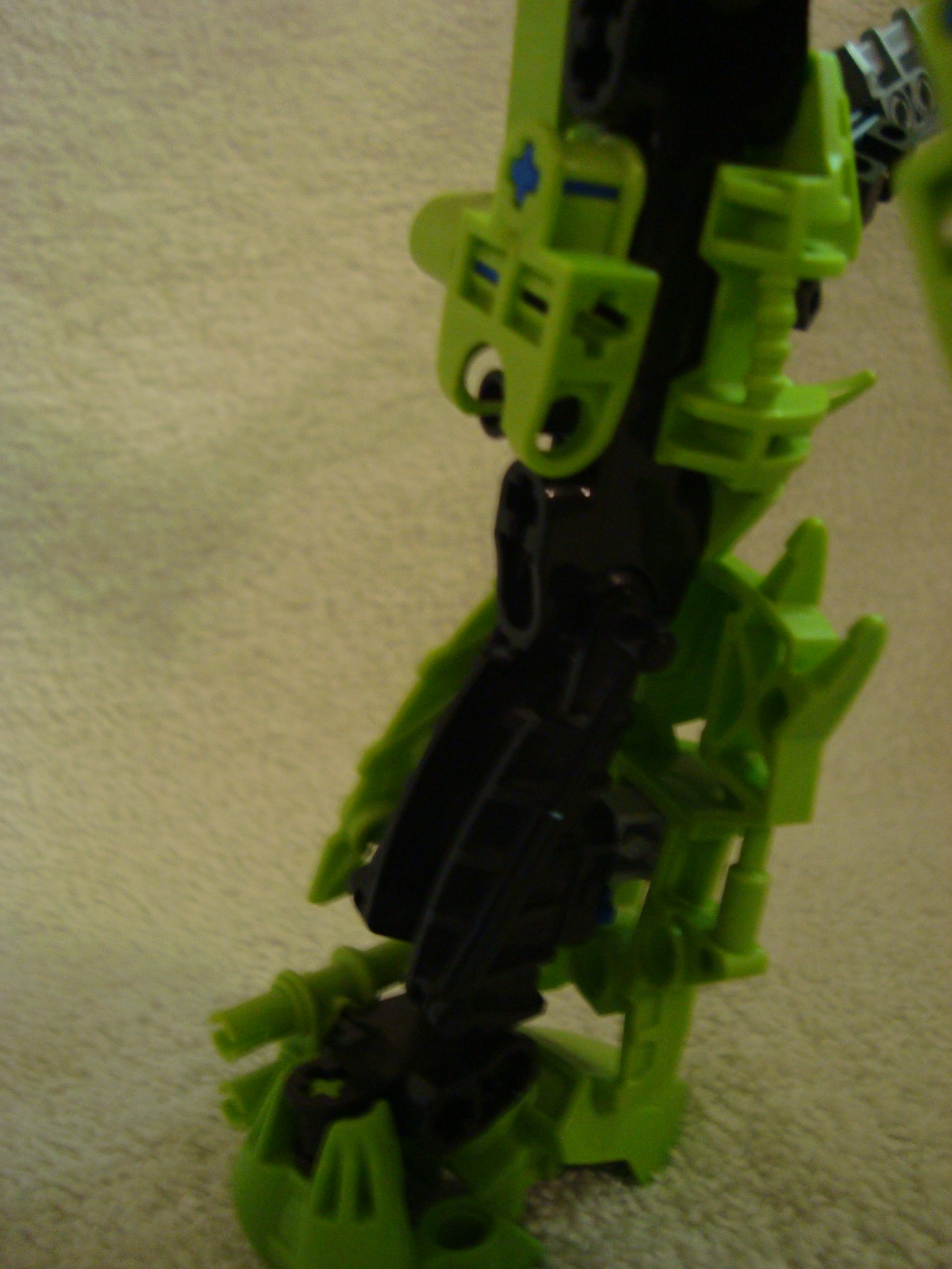 toa-pelora_007.jpg