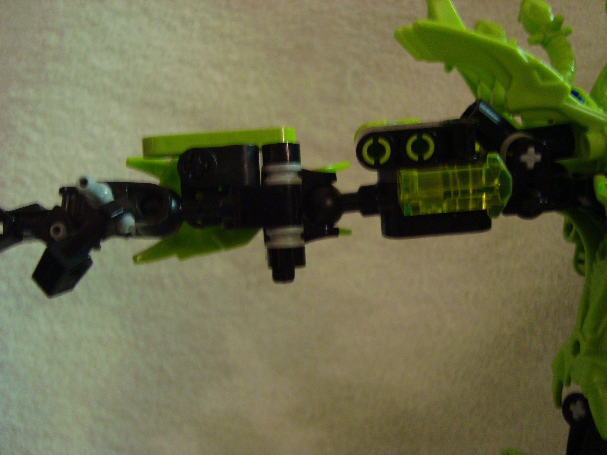 toa-pelora_008.jpg