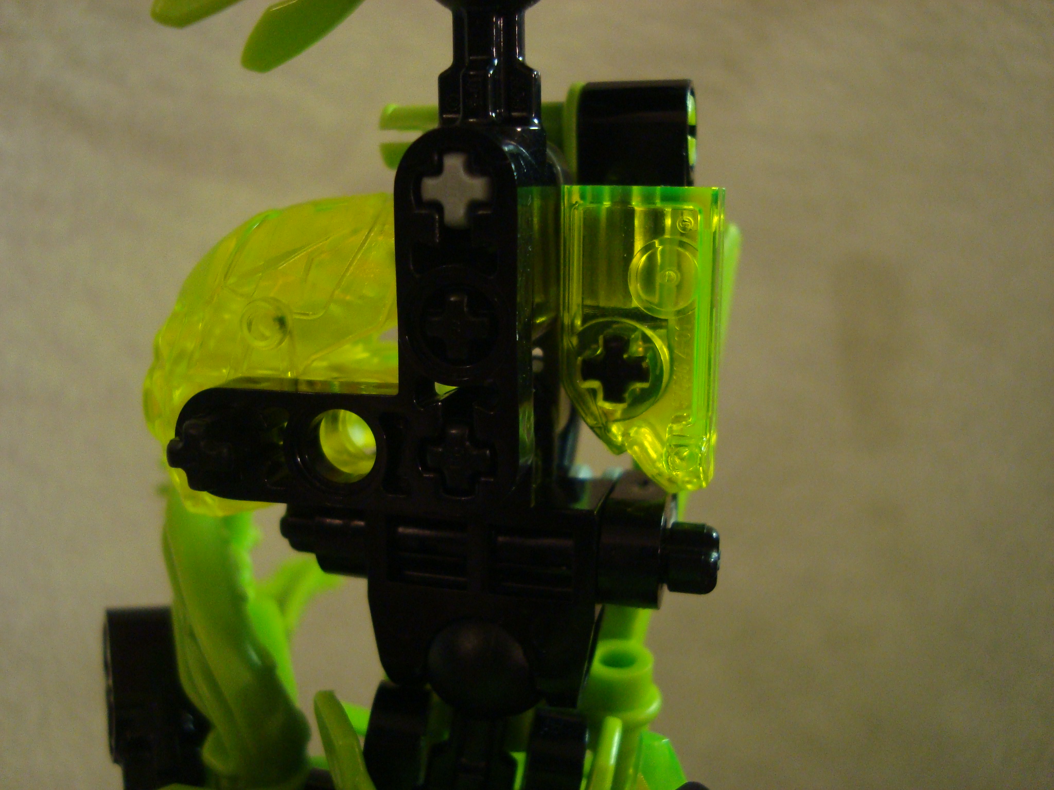 toa-pelora_009.jpg