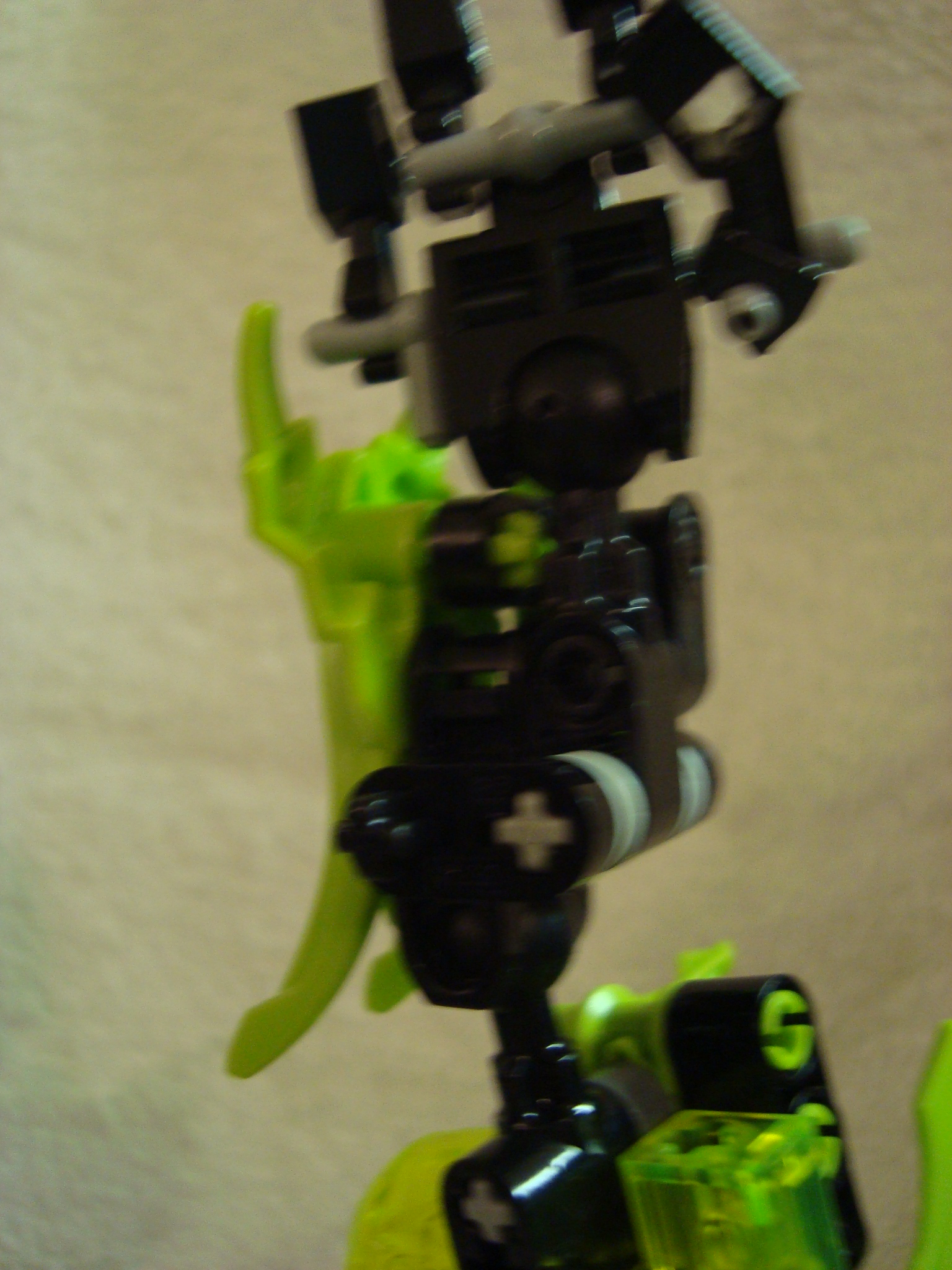 toa-pelora_010.jpg