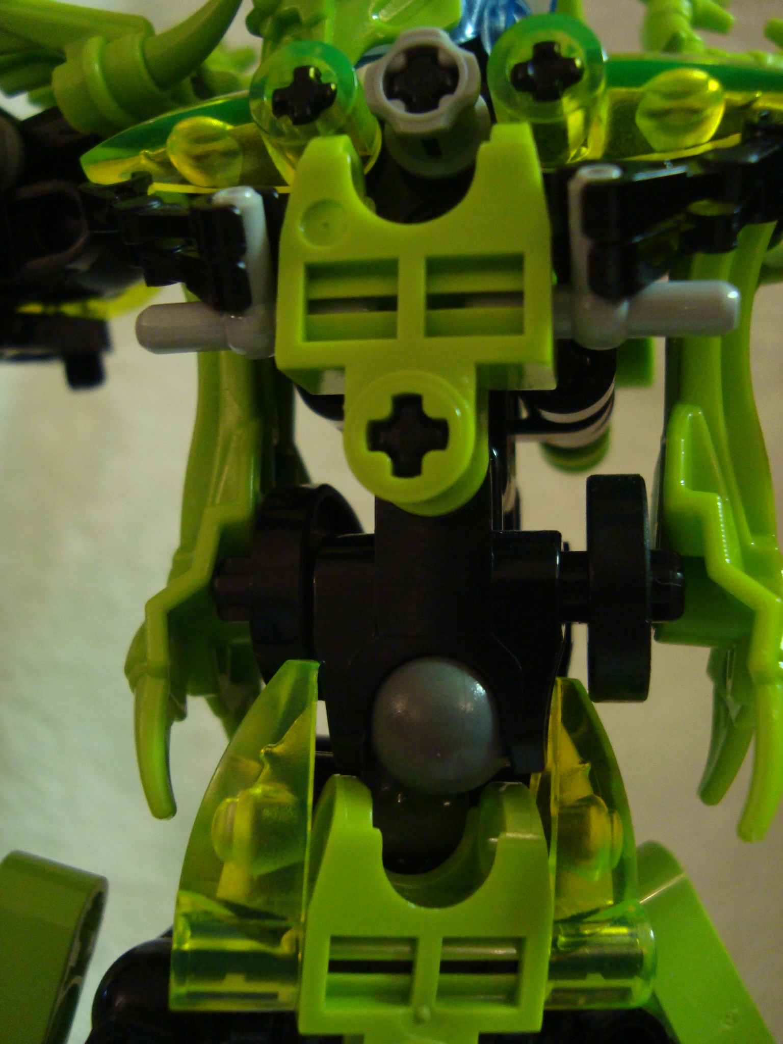 toa-pelora_011.jpg