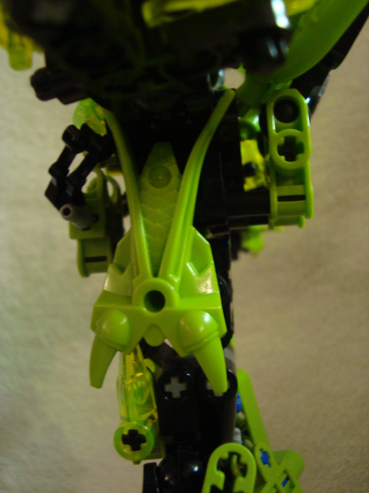toa-pelora_012.jpg