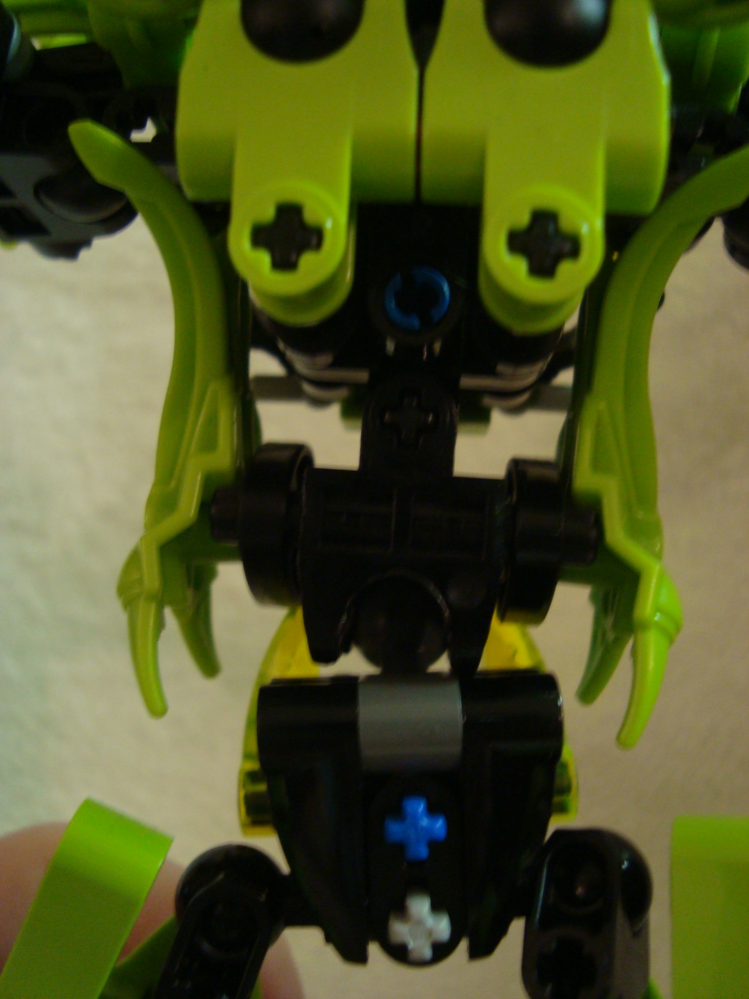 toa-pelora_013.jpg