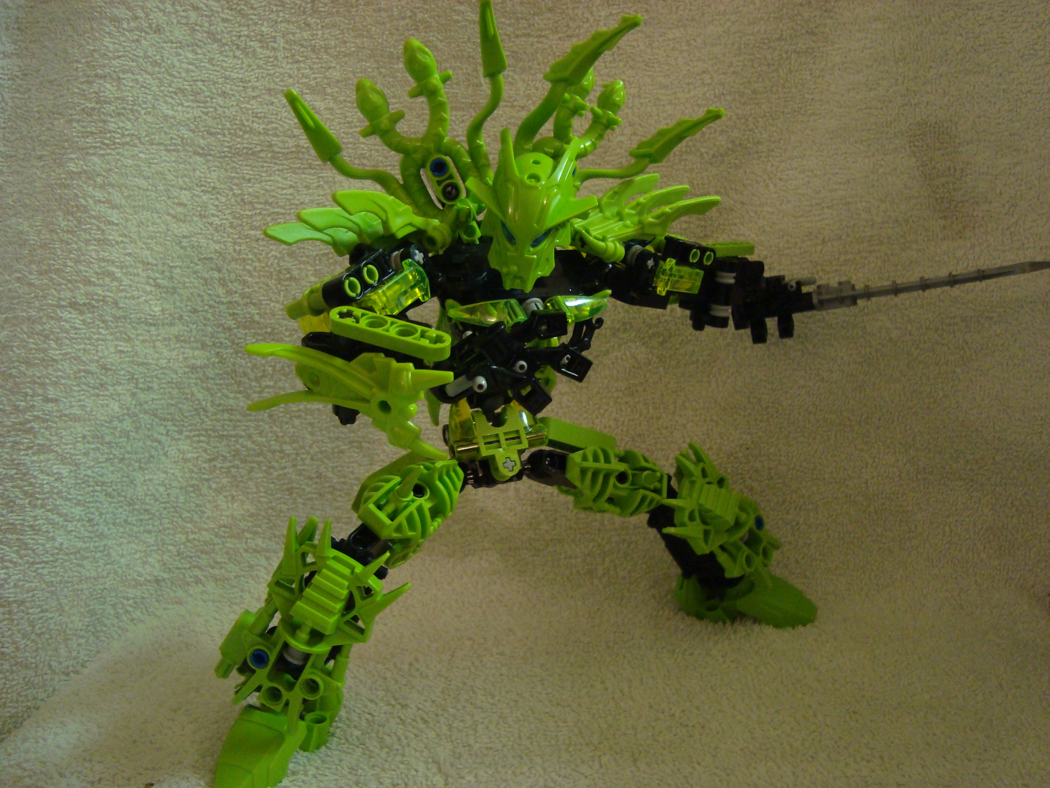 toa-pelora_014.jpg