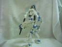 toa_zelus_004.jpg