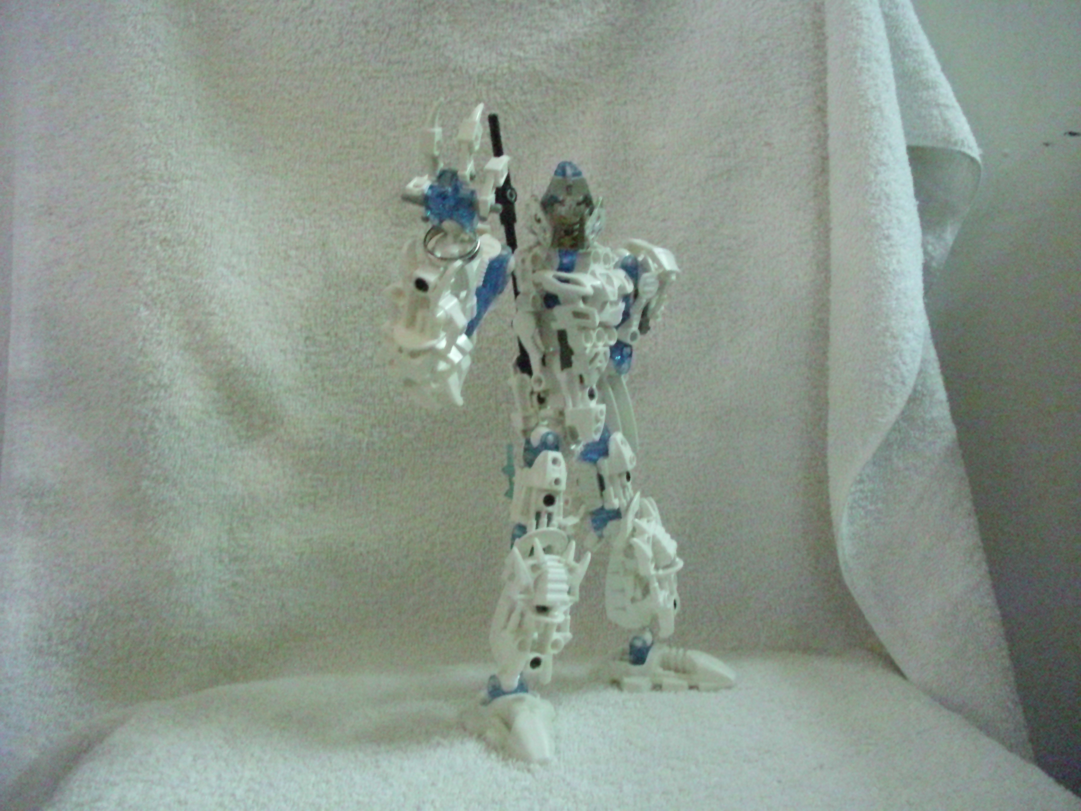 toa_zelus_001.jpg