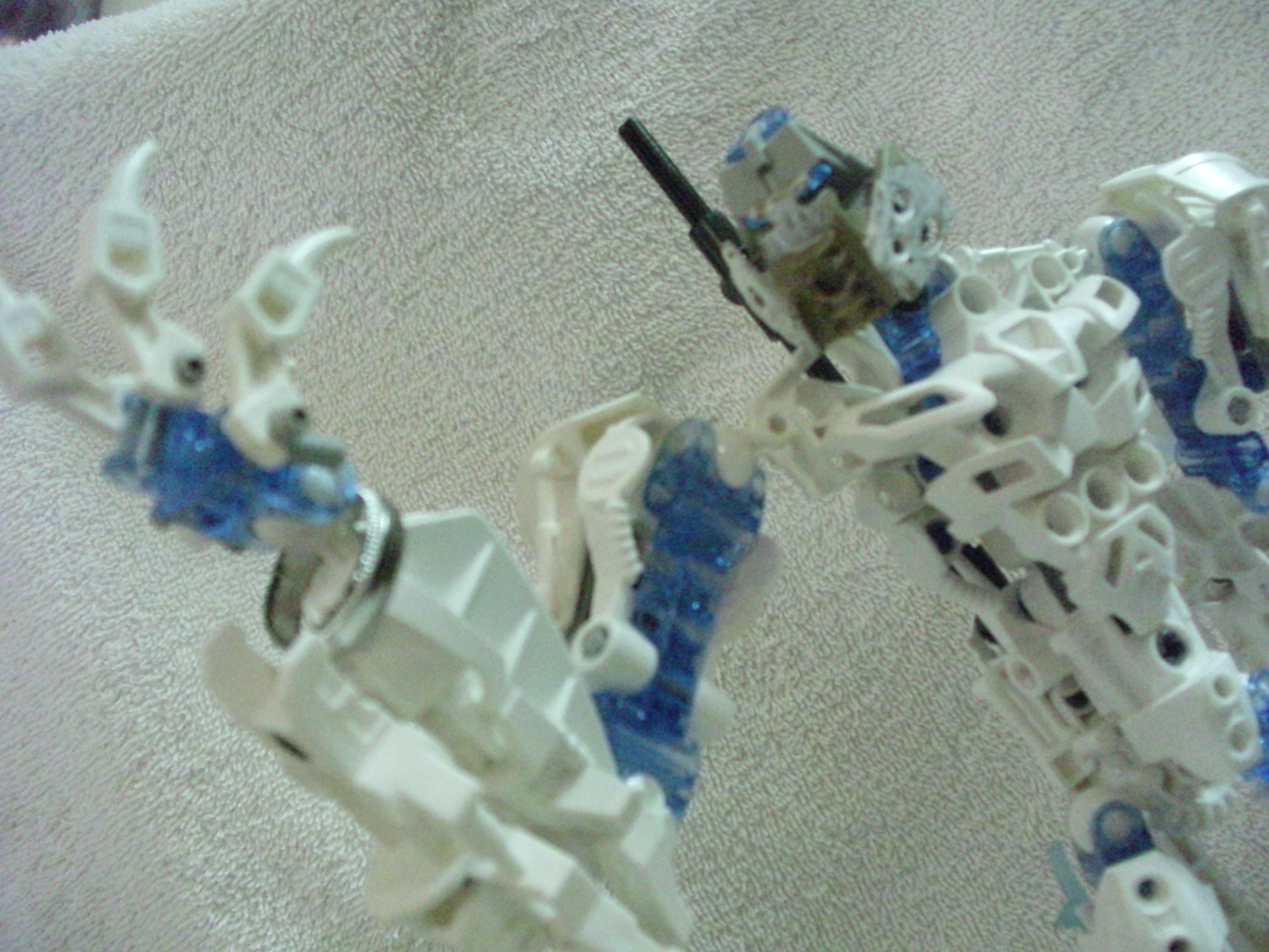 toa_zelus_002.jpg