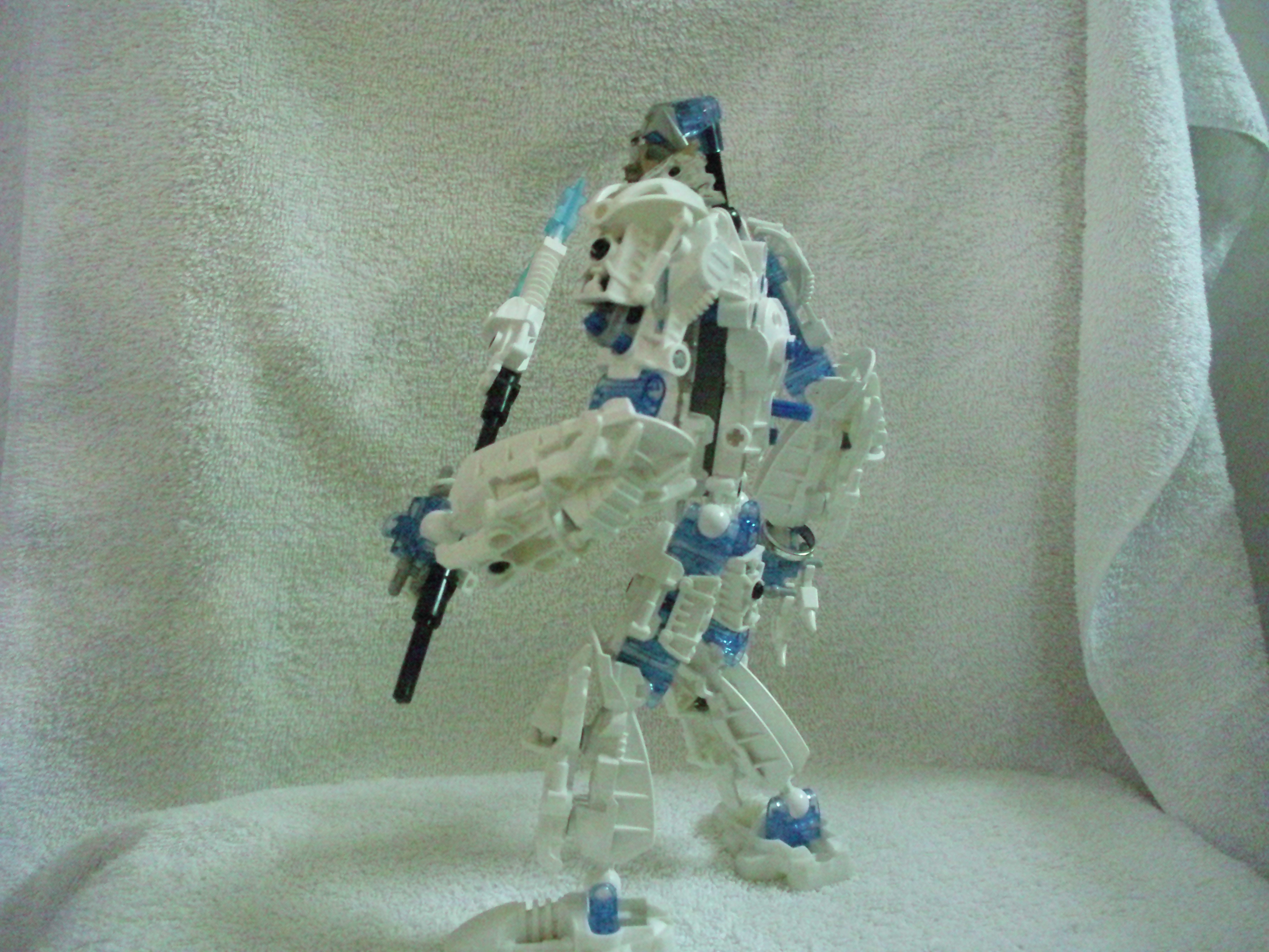 toa_zelus_004.jpg