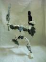 exo_toa_tectirs.jpg