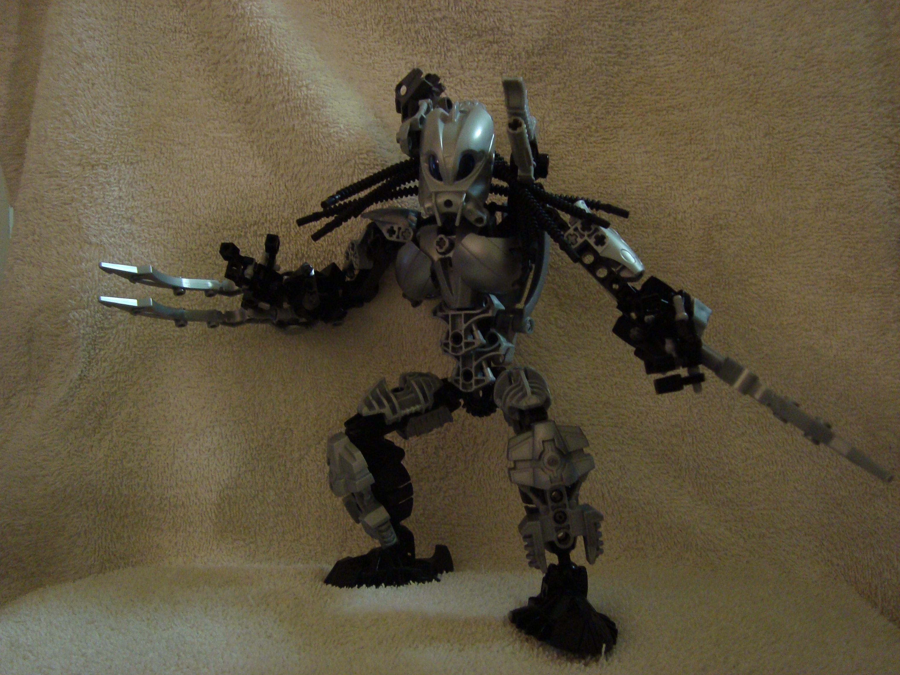 predator_004.jpg