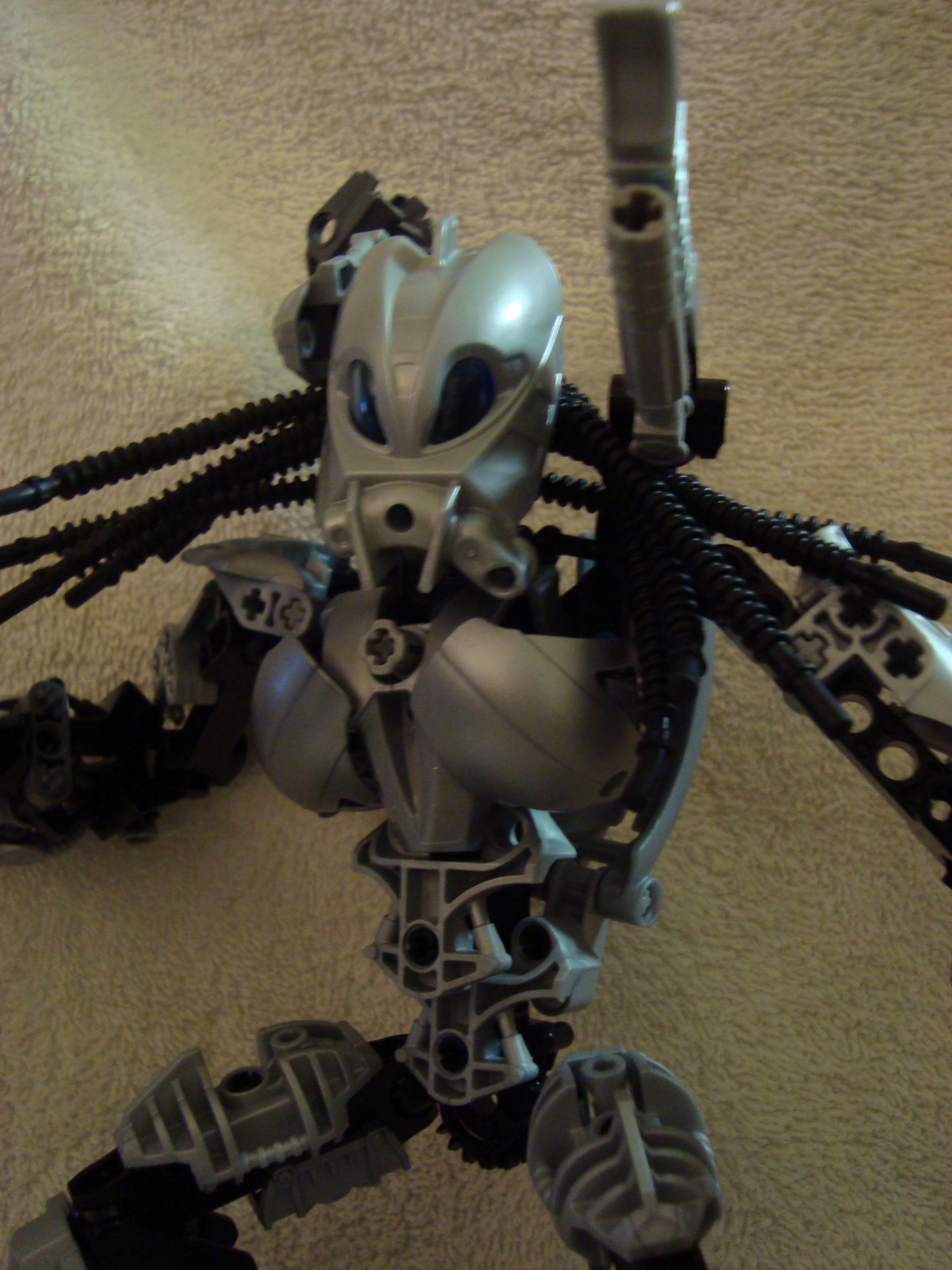predator_005.jpg