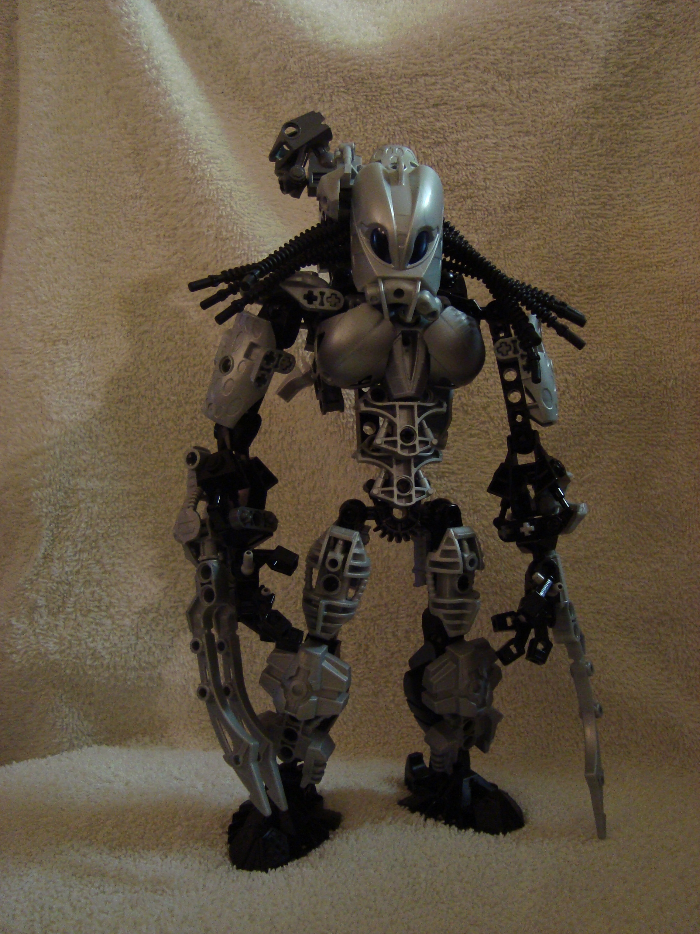 predator_006.jpg