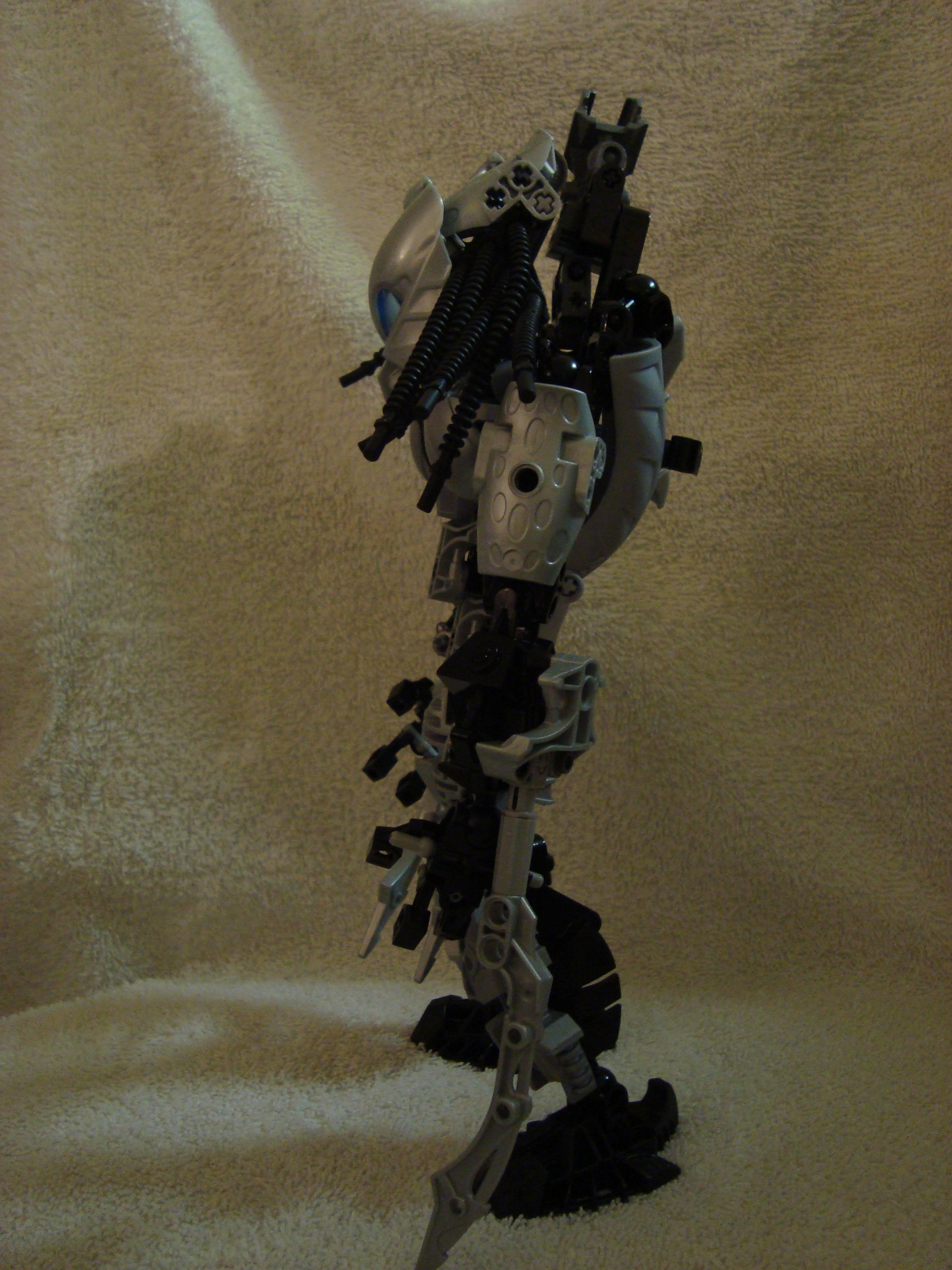 predator_007.jpg
