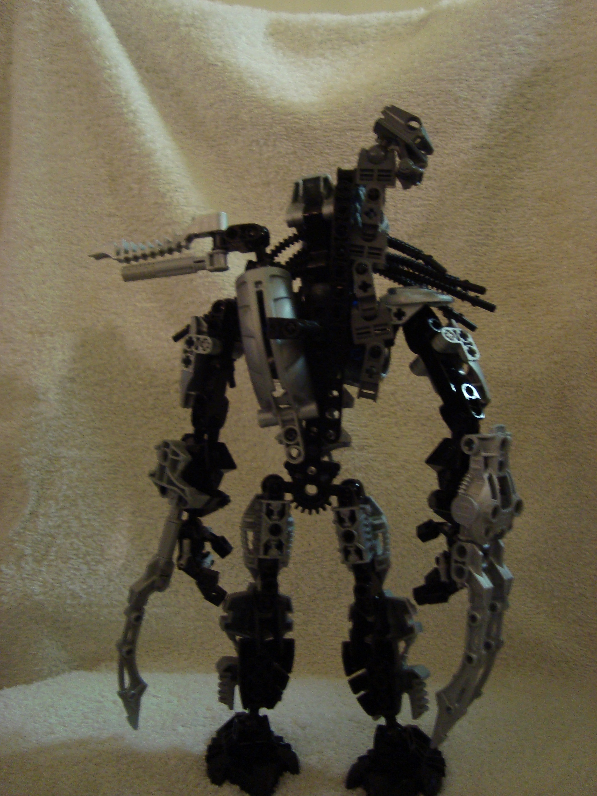 predator_008.jpg