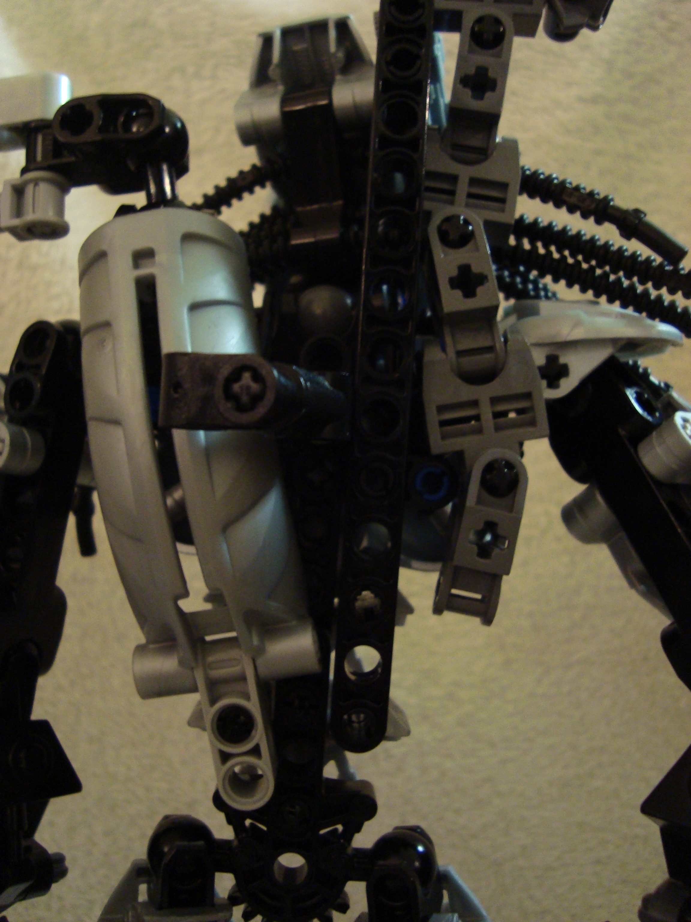 predator_009.jpg