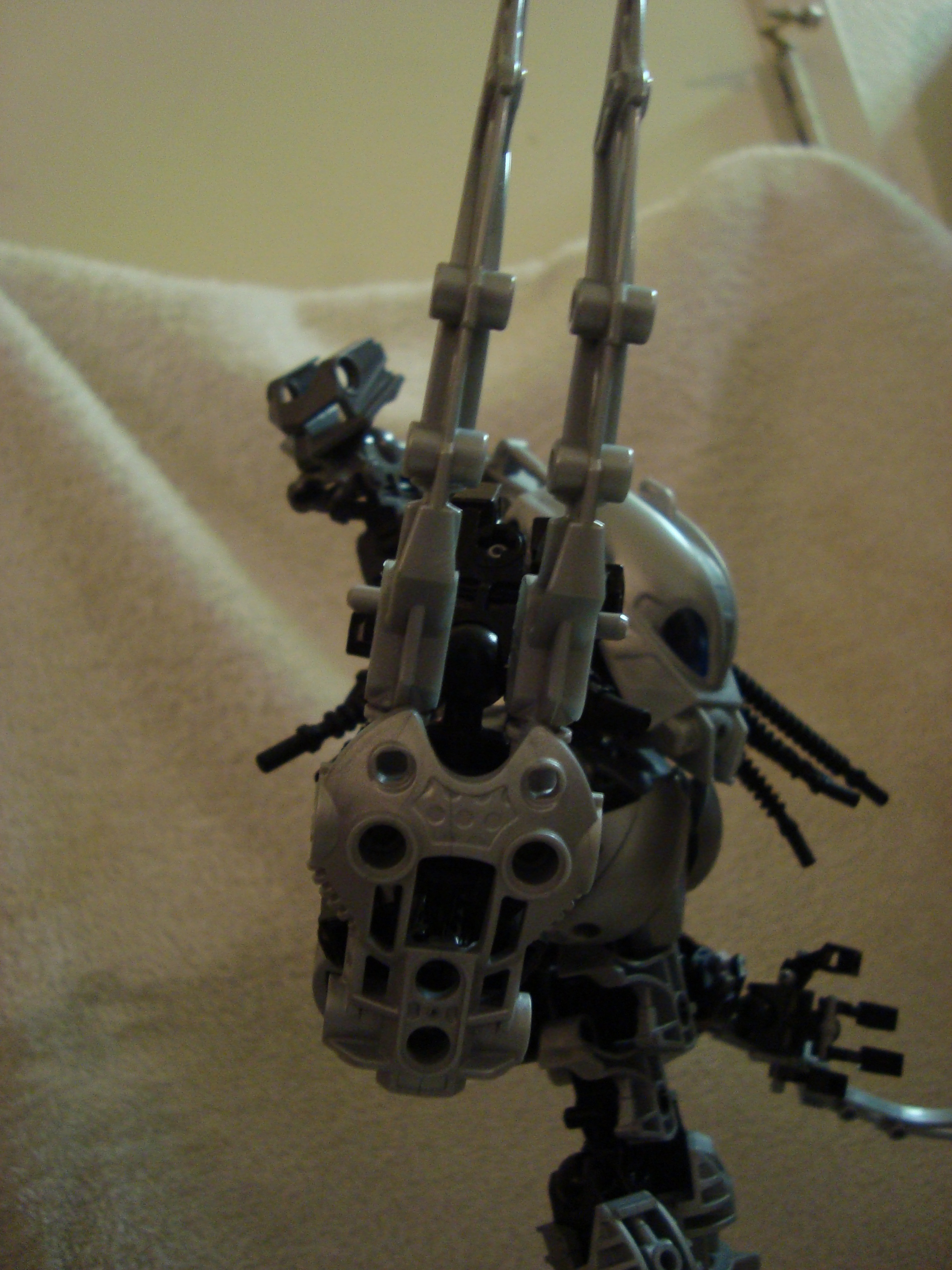 predator_011.jpg