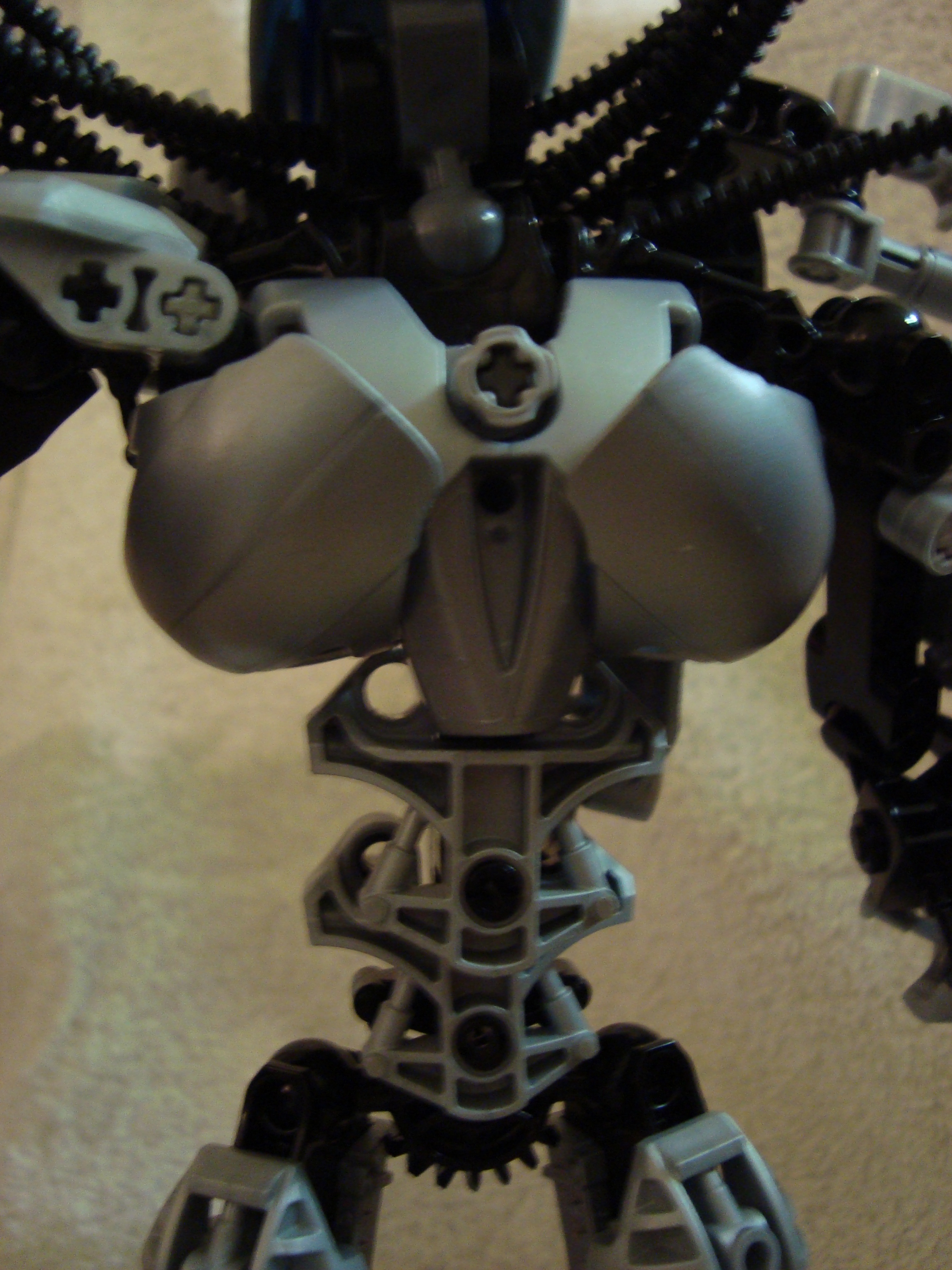 predator_012.jpg