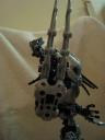 predator_011.jpg