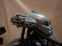 predator_013.jpg