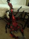 vagmaul_scorpion_034.jpg